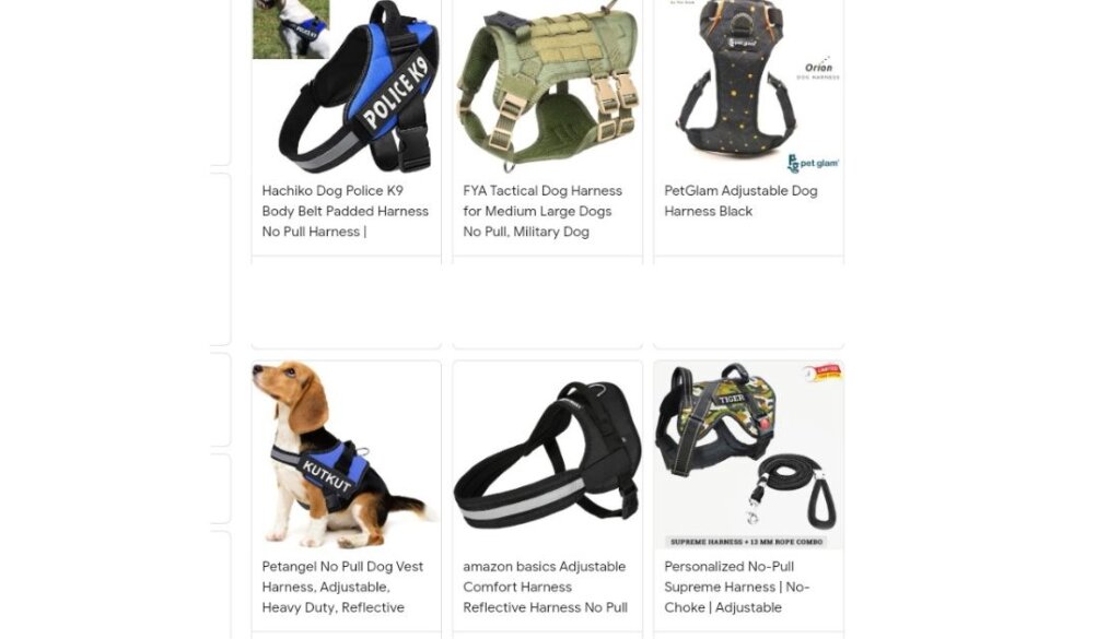 Best-High-Demand-Dog-Products-in-Dropshipping