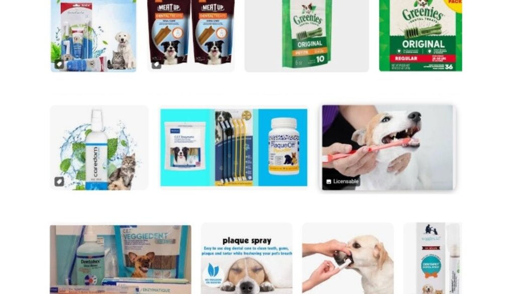 Best-High-Demand-Dog-Products-in-Dropshipping