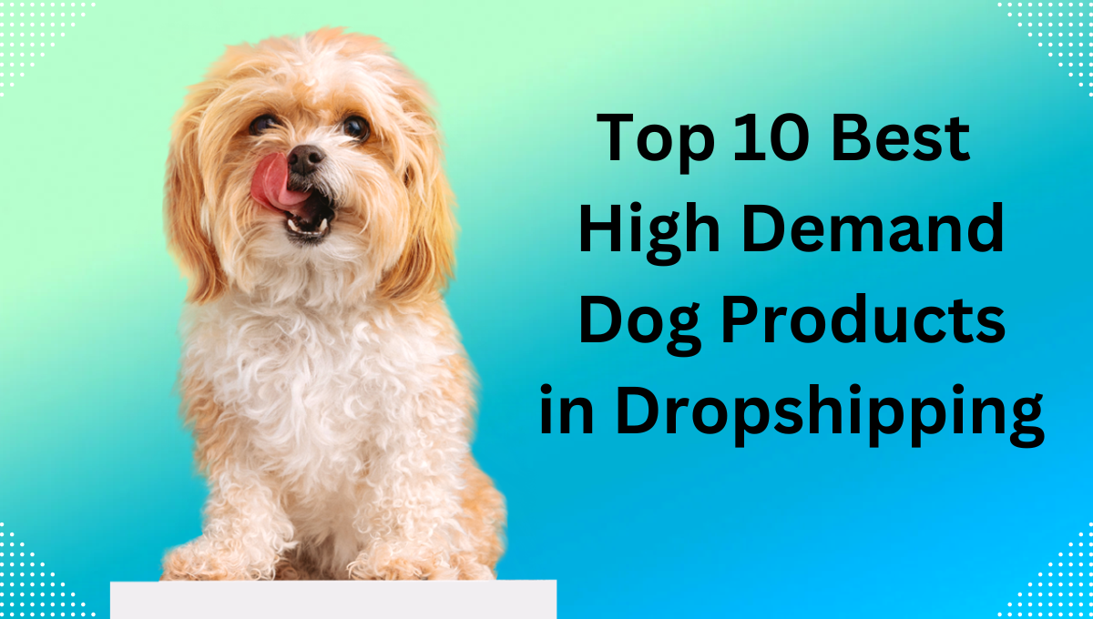 Best-High-Demand-Dog-Products-in-Dropshipping