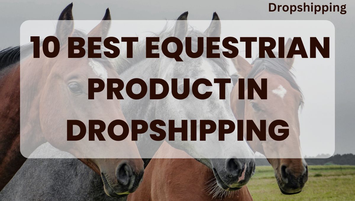 Best-Equestrian-Products-in-Dropshipping